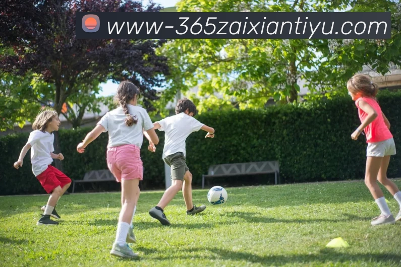 beat365平台生态图